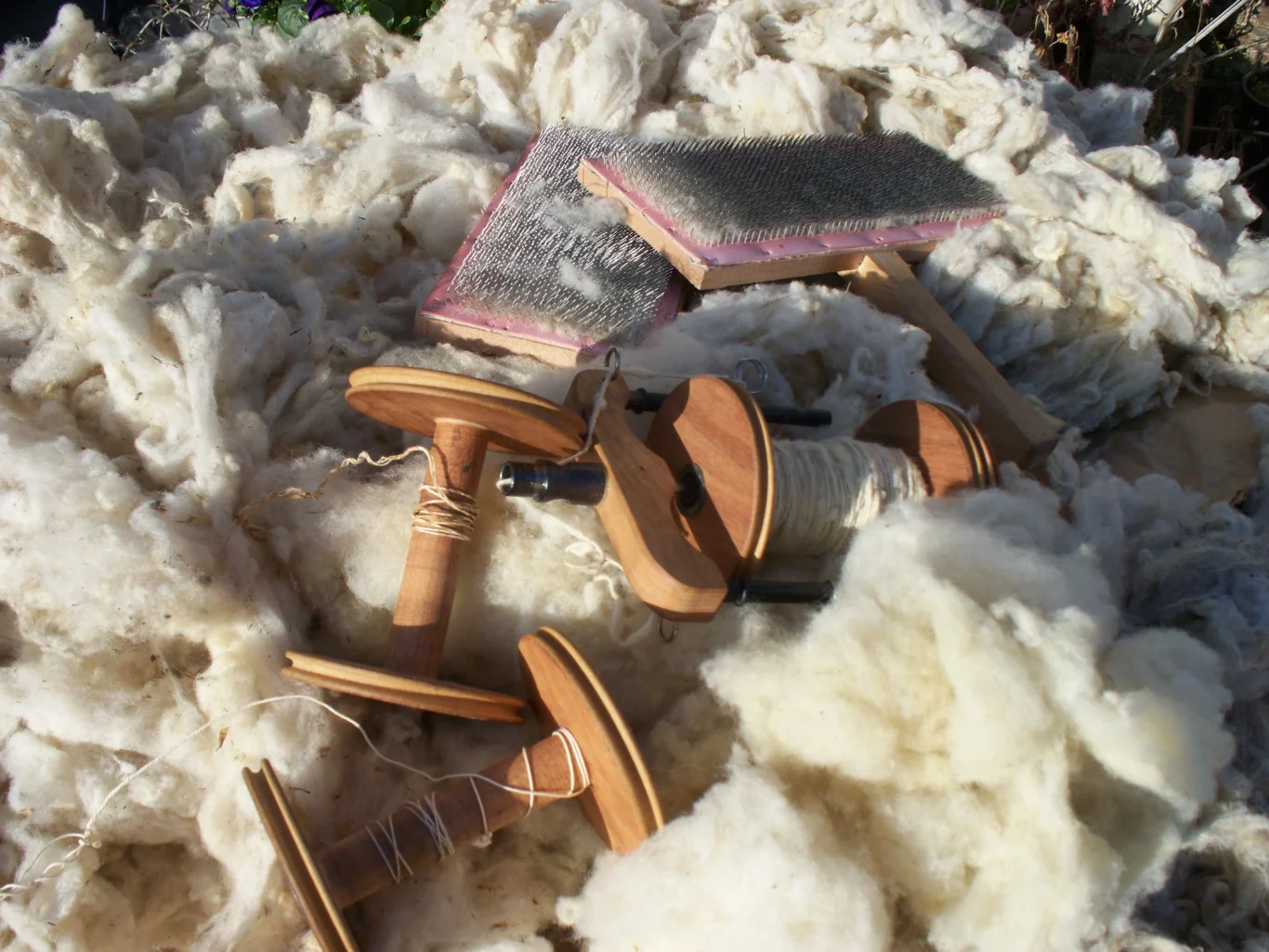 cardage traditionnel laine et cardes